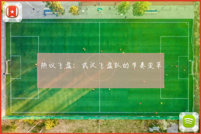 热议飞盘：武汉飞盘队的节奏变革