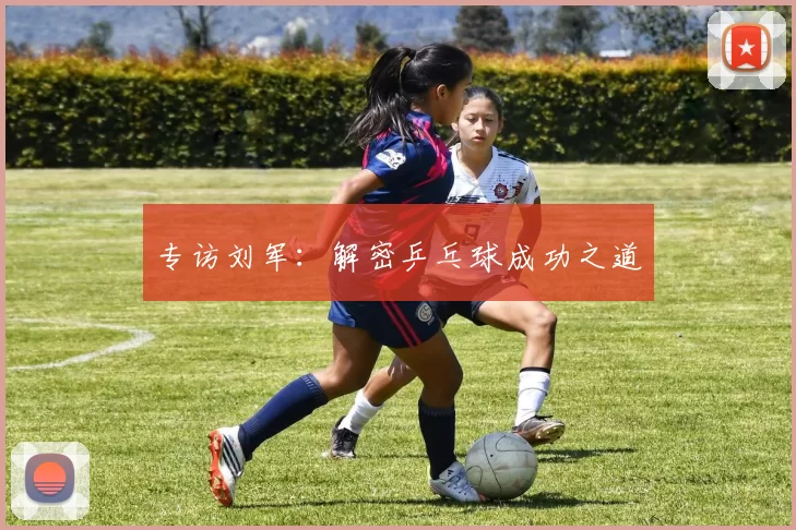 专访刘军：解密乒乓球成功之道