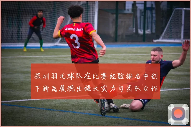 深圳羽毛球队在比赛经验排名中创下新高展现出强大实力与团队合作精神