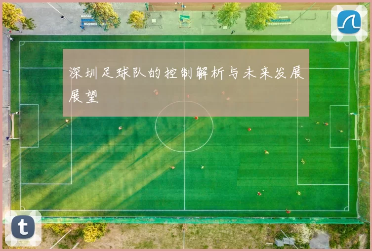 深圳足球队的控制解析与未来发展展望