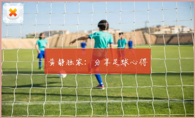 黄静独家：分享足球心得