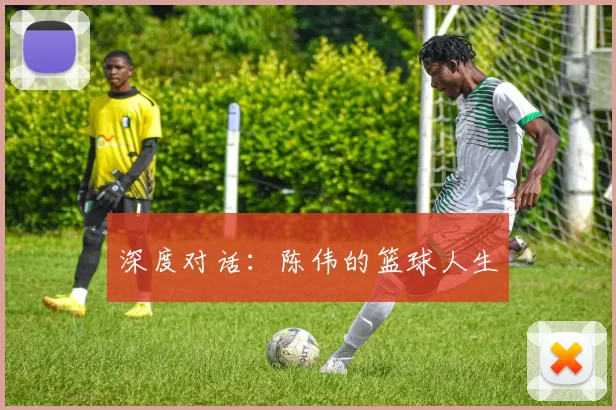 深度对话：陈伟的篮球人生