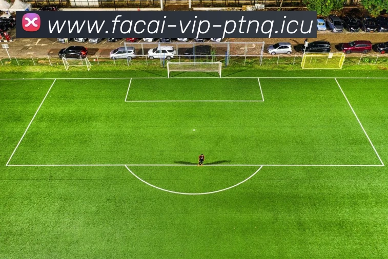 爱游戏体育平台生态图